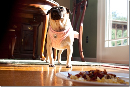 bacon_and_eggs-15