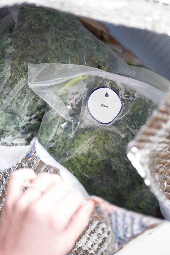 Blue Apron Review