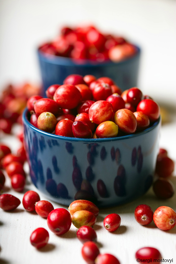 Recipes Using Fresh Cranberries and Leftover Cranberry Sauce!
