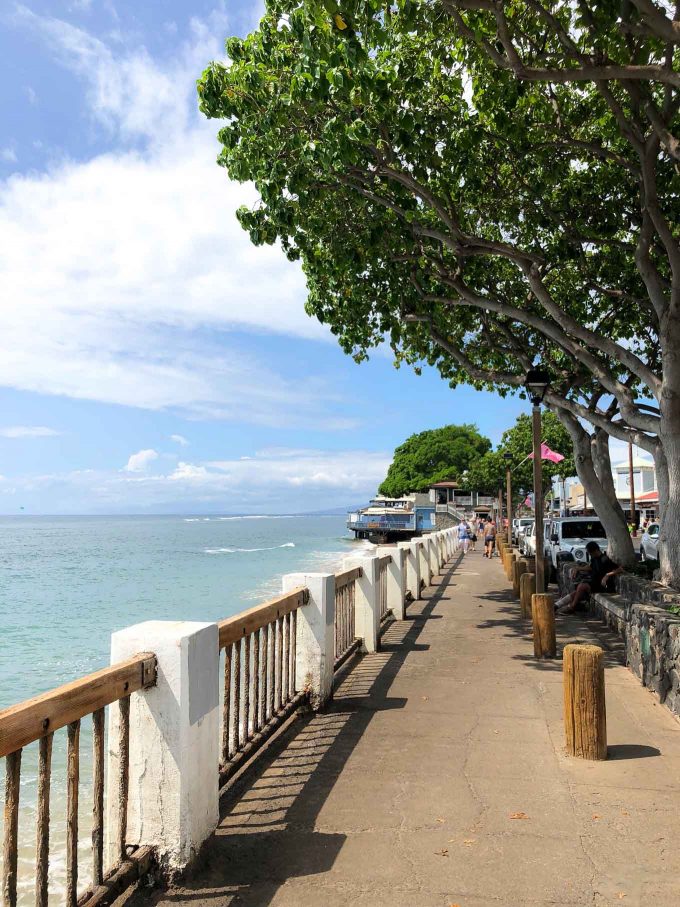 day trip to lahaina in maui hawaii