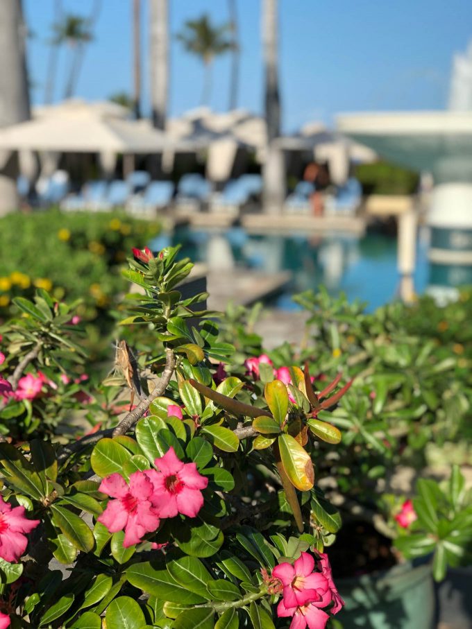 Four Seasons Maui