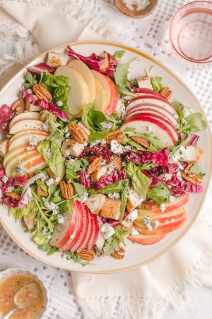 Homemade Panera Fuji Apple Salad with Chicken- made with a mix of romaine, arugula, radicchio, roasted chicken, fresh apple, red onion, gorgonzola cheese, pecans, and apple vinaigrette