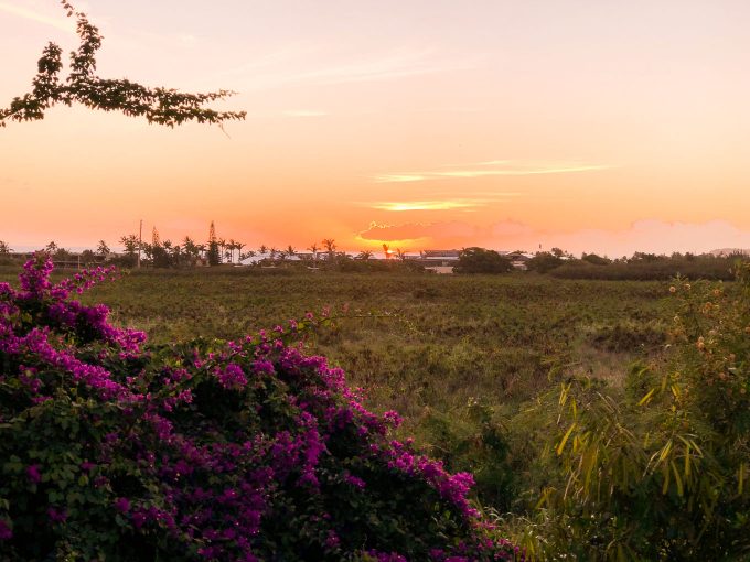 sunset in Kauai