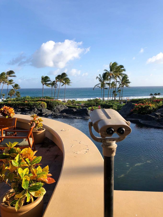 Grand Hyatt Kauai