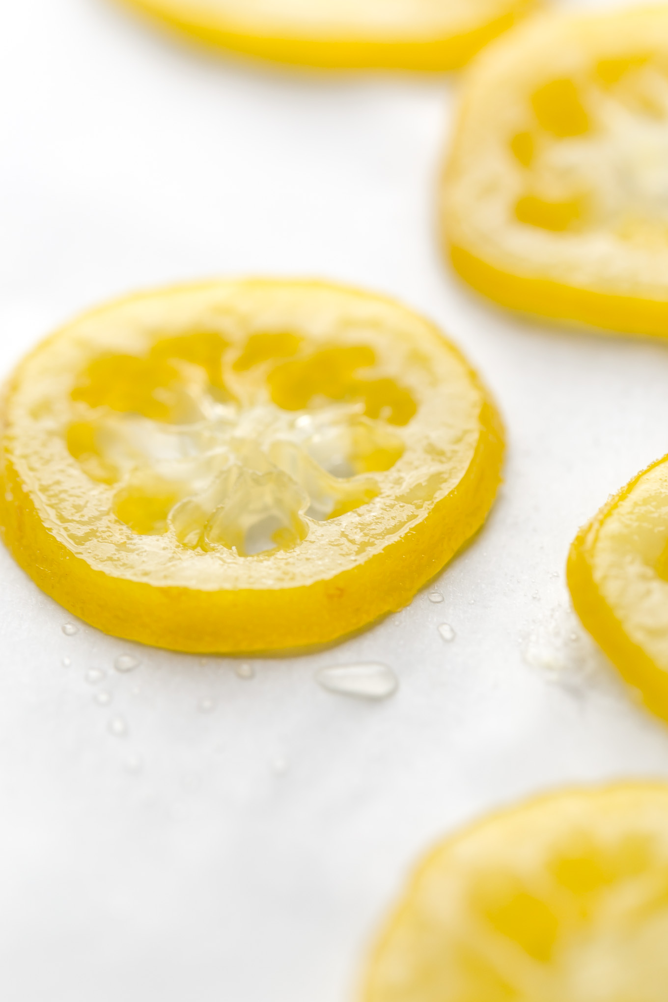 candied lemon peel garnish for lemon cheesecake bars