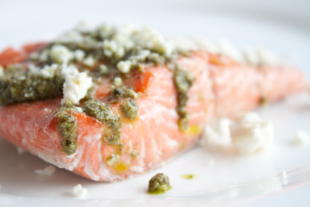 salmon